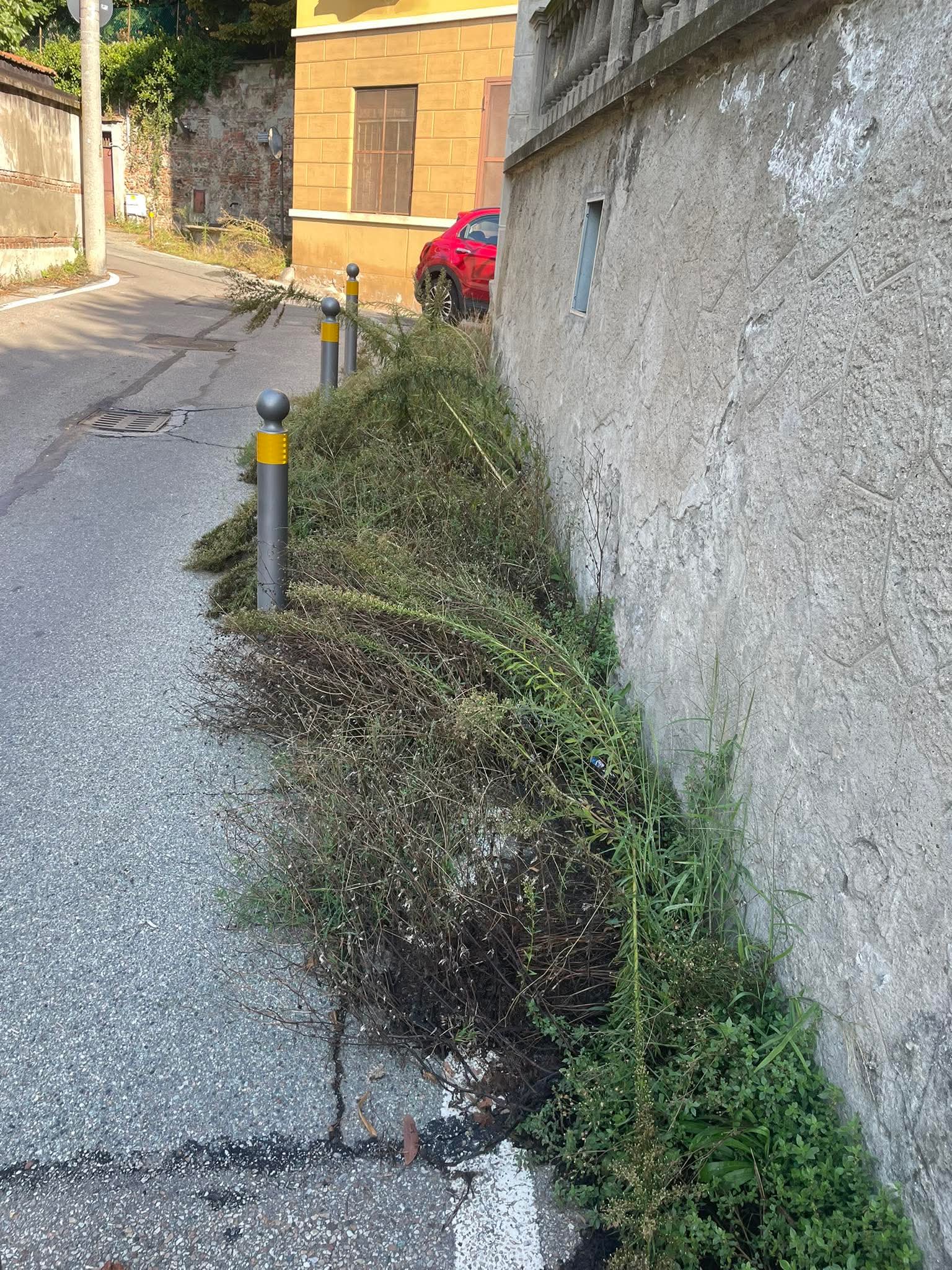 MONCALIERI – Ancora erba alta sulle strade