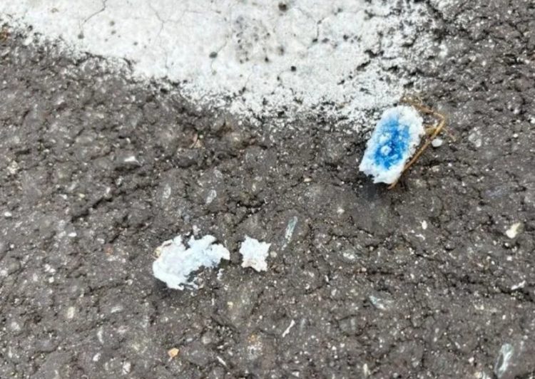 NICHELINO – Segnalati bocconi avvelenati nella zona della scuola Rodari