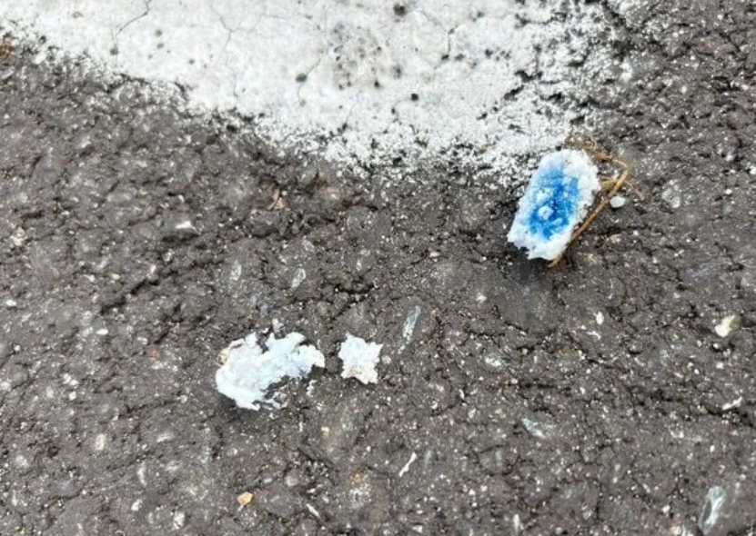 NICHELINO – Segnalati bocconi avvelenati nella zona della scuola Rodari