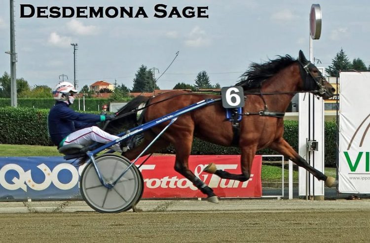 VINOVO – I risultati delle corse all’ippodromo