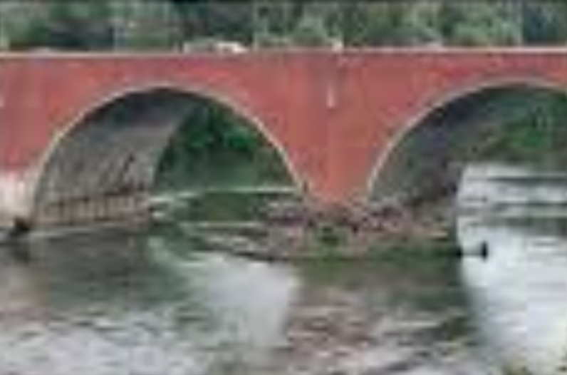 MONCALIERI – Nuova pulizia dei tronchi sotto il ponte MONCALIERI – Nuova pulizia dei tronchi sotto il ponte