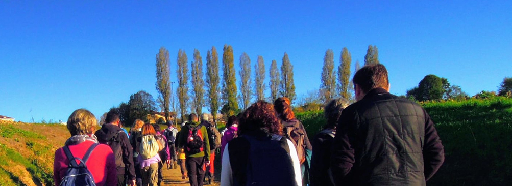 MONCALIERI – Passeggiata in collina tra il Bosco del Re e Castelvecchio, domenica 23 novembre con «Camminare lentamente» MONCALIERI – Passeggiata in collina tra il Bosco del Re e Castelvecchio, domenica 23 novembre con «Camminare lentamente»