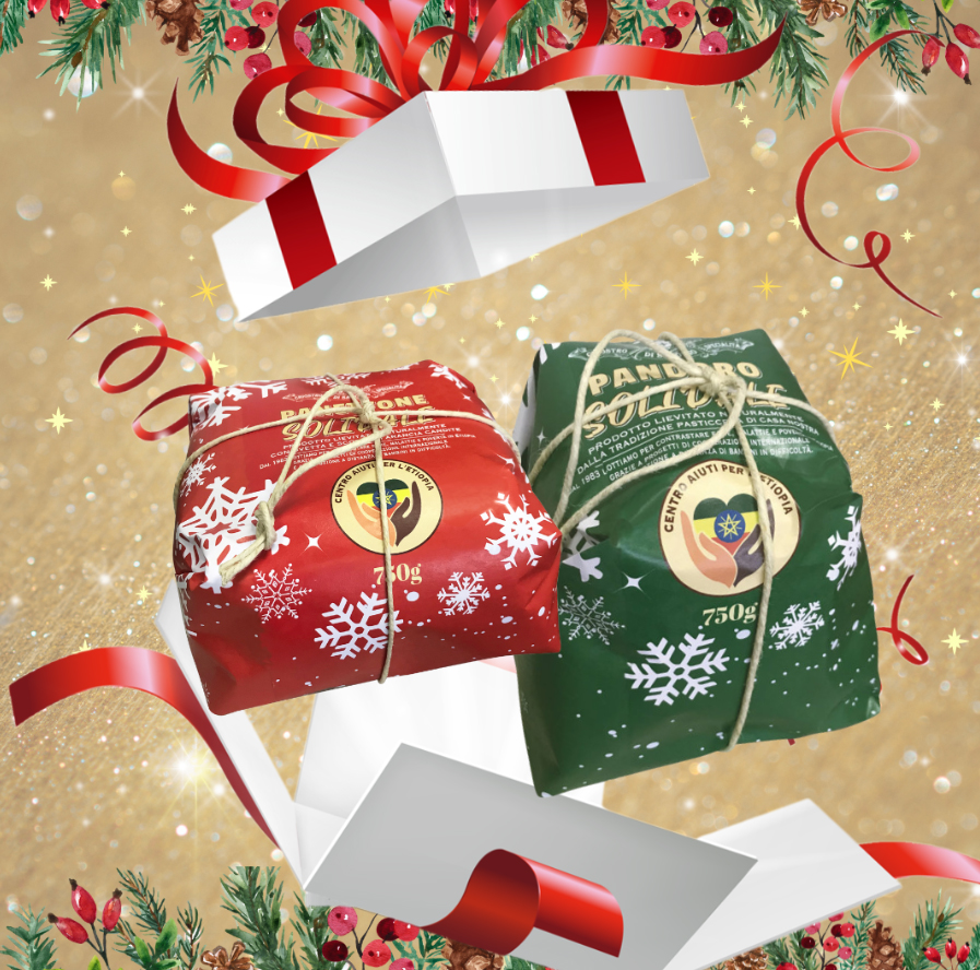 PECETTO – Rubati i panettoni solidali