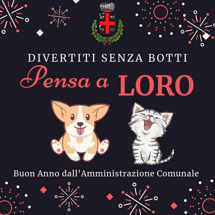 Ordinanza Trofarello – A Capodanno «Divertiti senza botti. Pensa a loro»