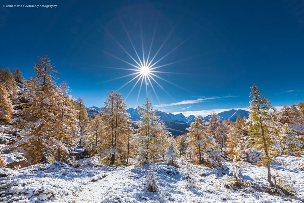 Il Vallone delle Cime Bianche inaugura il Cinema in Verticale 2026. Venerdì 6 febbraio a Condove