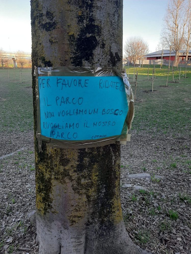 NICHELINO – Scoppia la polemica per gli alberi nel parco di via Carducci