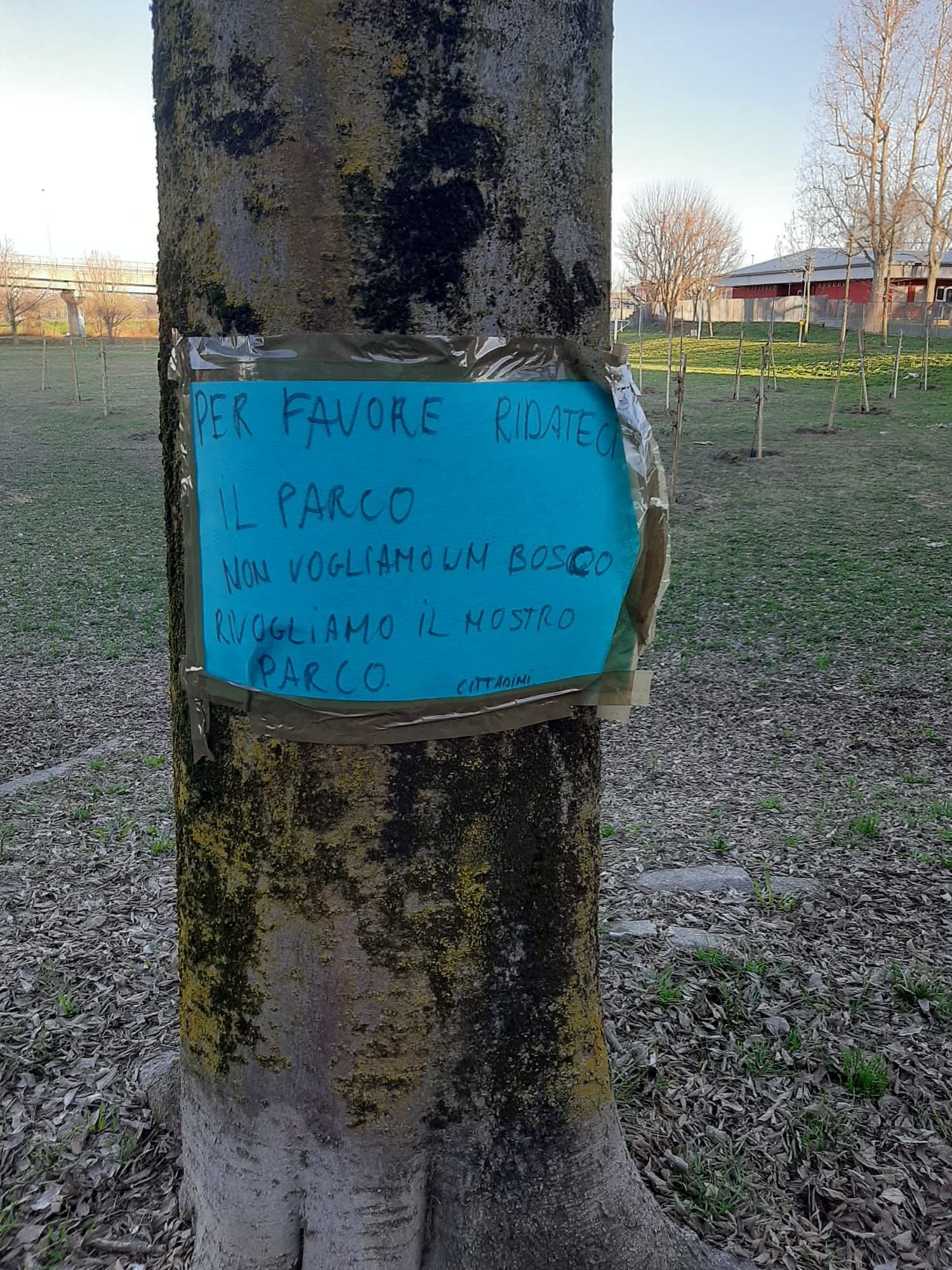 NICHELINO – Scoppia la polemica per gli alberi nel parco di via Carducci NICHELINO – Scoppia la polemica per gli alberi nel parco di via Carducci