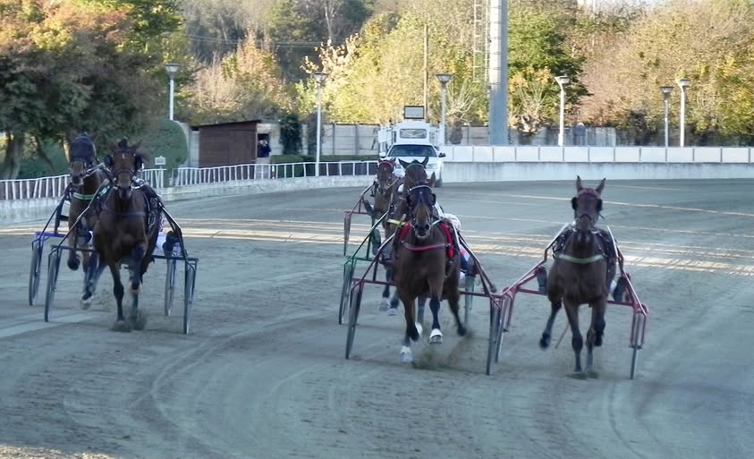 VINOVO – Tris quartè e quintè all’ippodromo