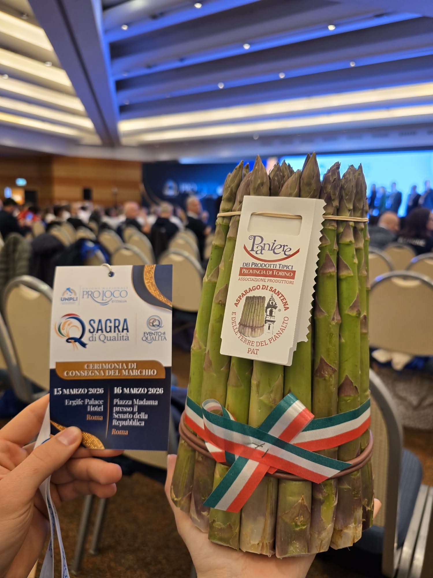 SANTENA – La Sagra dell’Asparago di Santena tra le eccellenze nazionali SANTENA – La Sagra dell’Asparago di Santena tra le eccellenze nazionali