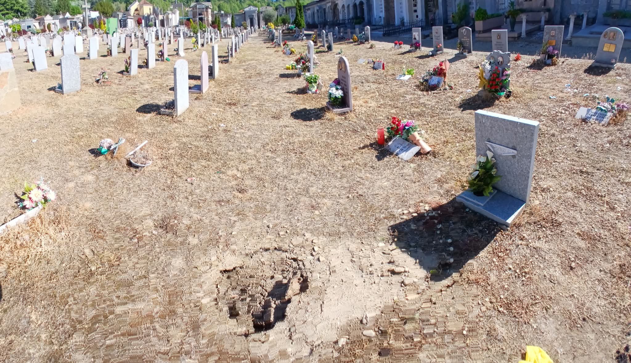 MONCALIERI – Lamentele per lo stato di alcune parti del cimitero