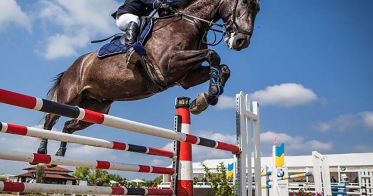 Ippica – Le cavallerizze nostrane spopolano alla tappa di Vestignè del Progetto Sport