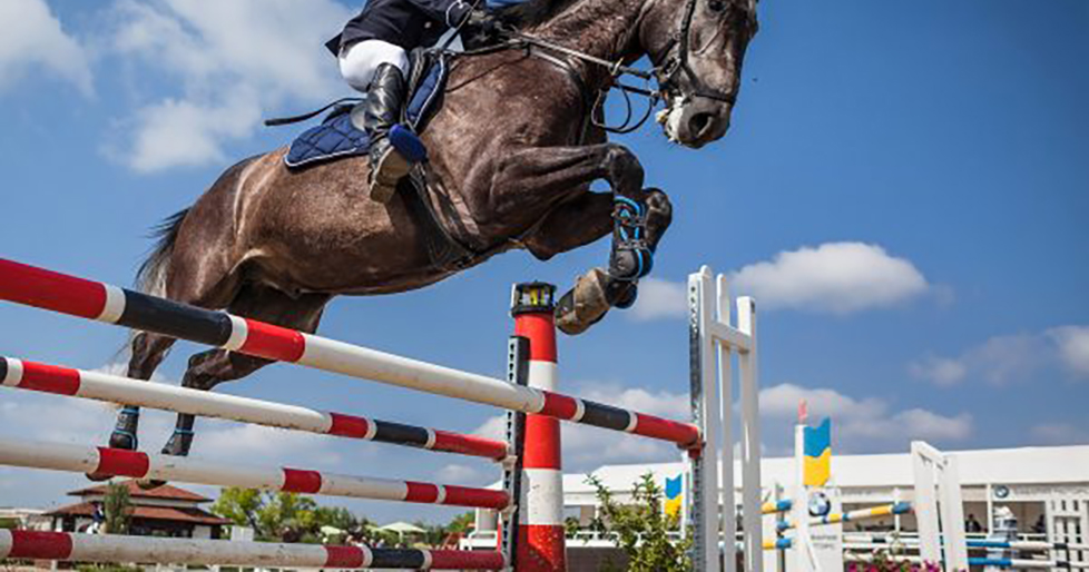 Ippica – Le cavallerizze nostrane spopolano alla tappa di Vestignè del Progetto Sport Ippica – Le cavallerizze nostrane spopolano alla tappa di Vestignè del Progetto Sport