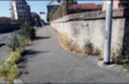 MONCALIERI – Erba sul ponte di via Sestriere