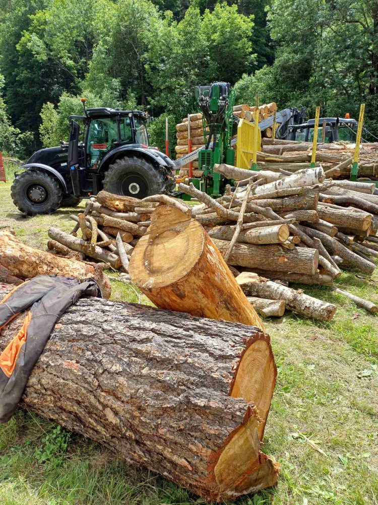 CLIMA – Incentivi alle caldaie, Uncem chiede che ci siano anche per quelle alimentate a legna