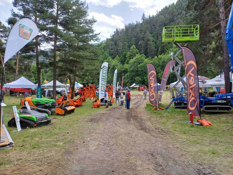 A Beaulard di Oulx torna BosTer-Bosco e Territorio, dal 26 al 28 giugno