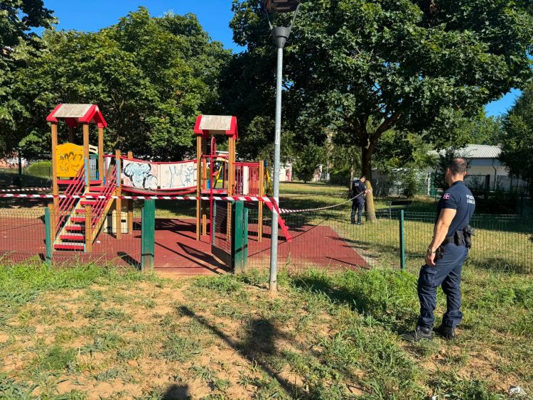 NICHELINO – Nido di vespe nello scivolo dei bambini