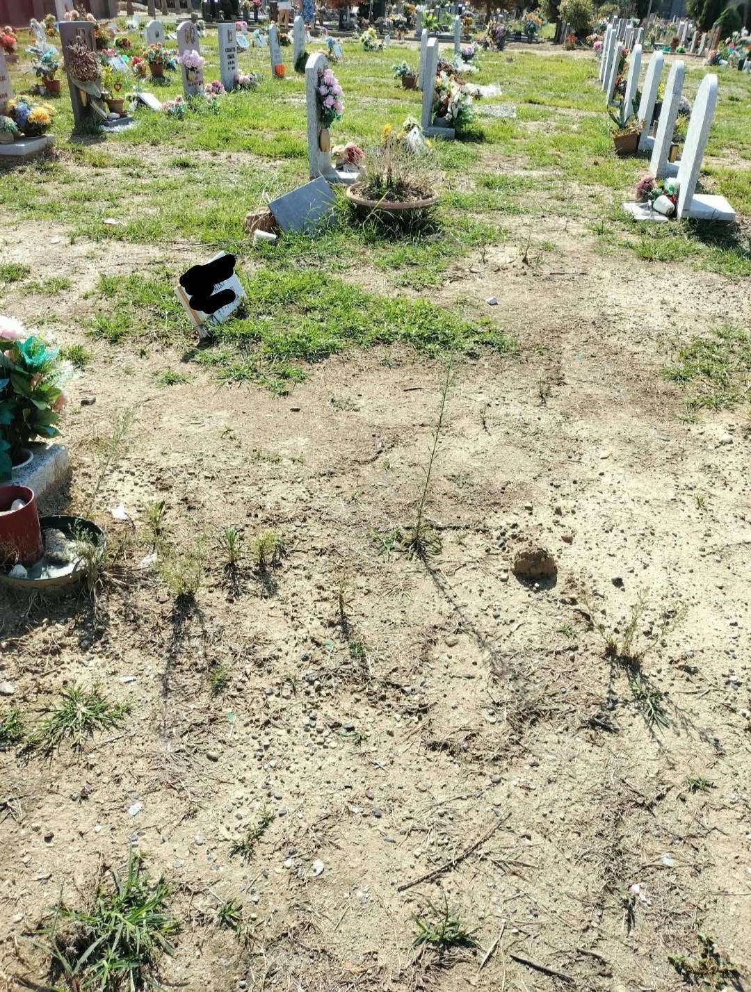 MONCALIERI – ‘Cimitero preda del degrado’
