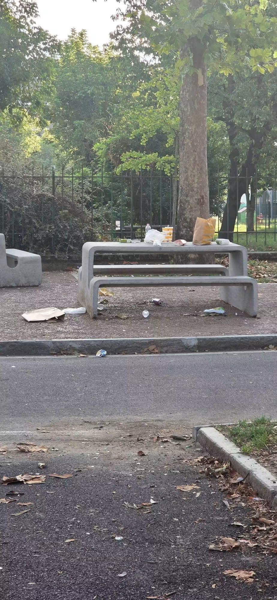 CARMAGNOLA – Rifiuti abbandonati in corso Sacchirone