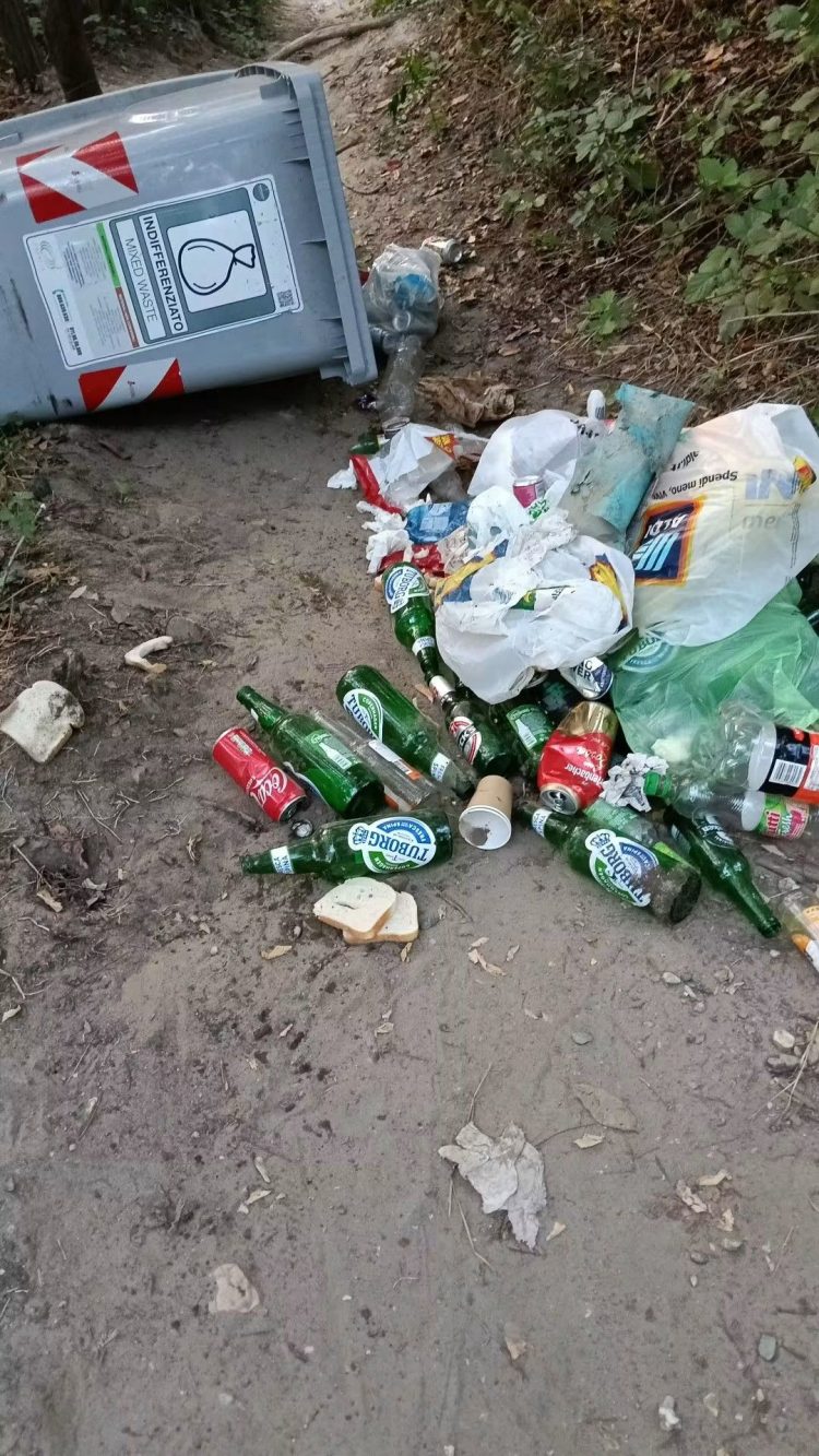 NICHELINO – Ancora scempio al parco Boschetto