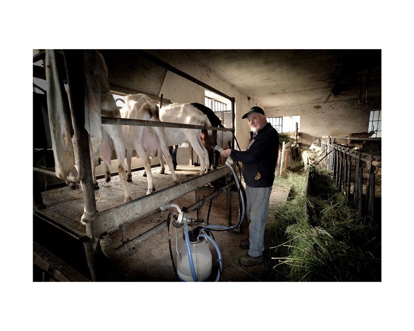 Dal 15 settembre a Trofarello “AGROSFERA. Storie di tradizione e innovazione” con il Foto Club Neyrone Dal 15 settembre a Trofarello “AGROSFERA. Storie di tradizione e innovazione” con il Foto Club Neyrone