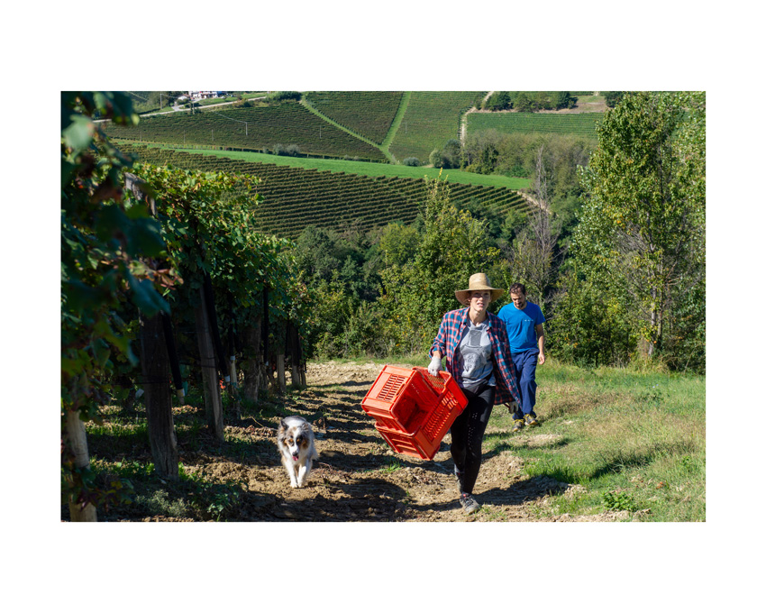 Dal 15 settembre a Trofarello “AGROSFERA. Storie di tradizione e innovazione” con il Foto Club Neyrone Dal 15 settembre a Trofarello “AGROSFERA. Storie di tradizione e innovazione” con il Foto Club Neyrone